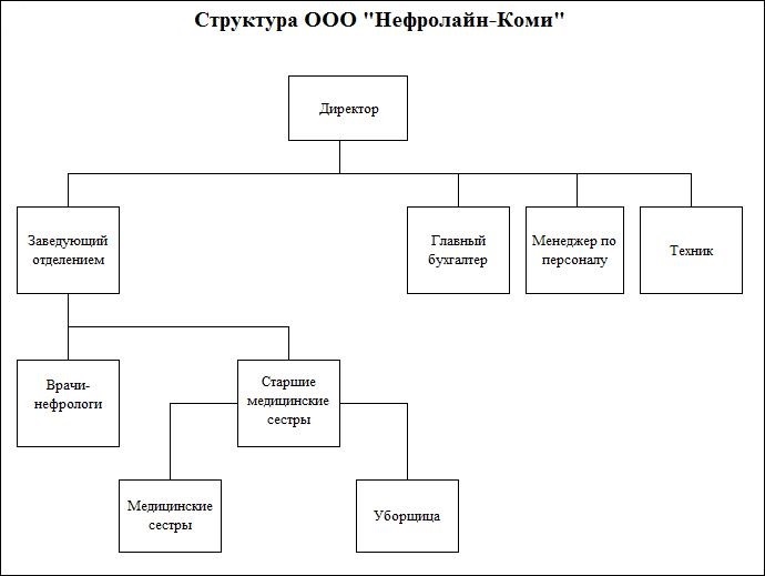 Структура организации